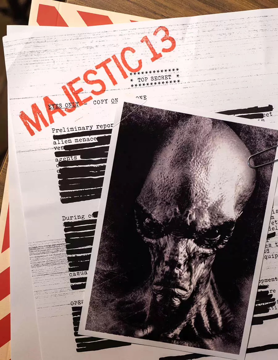 MAJESTIC 13 cover